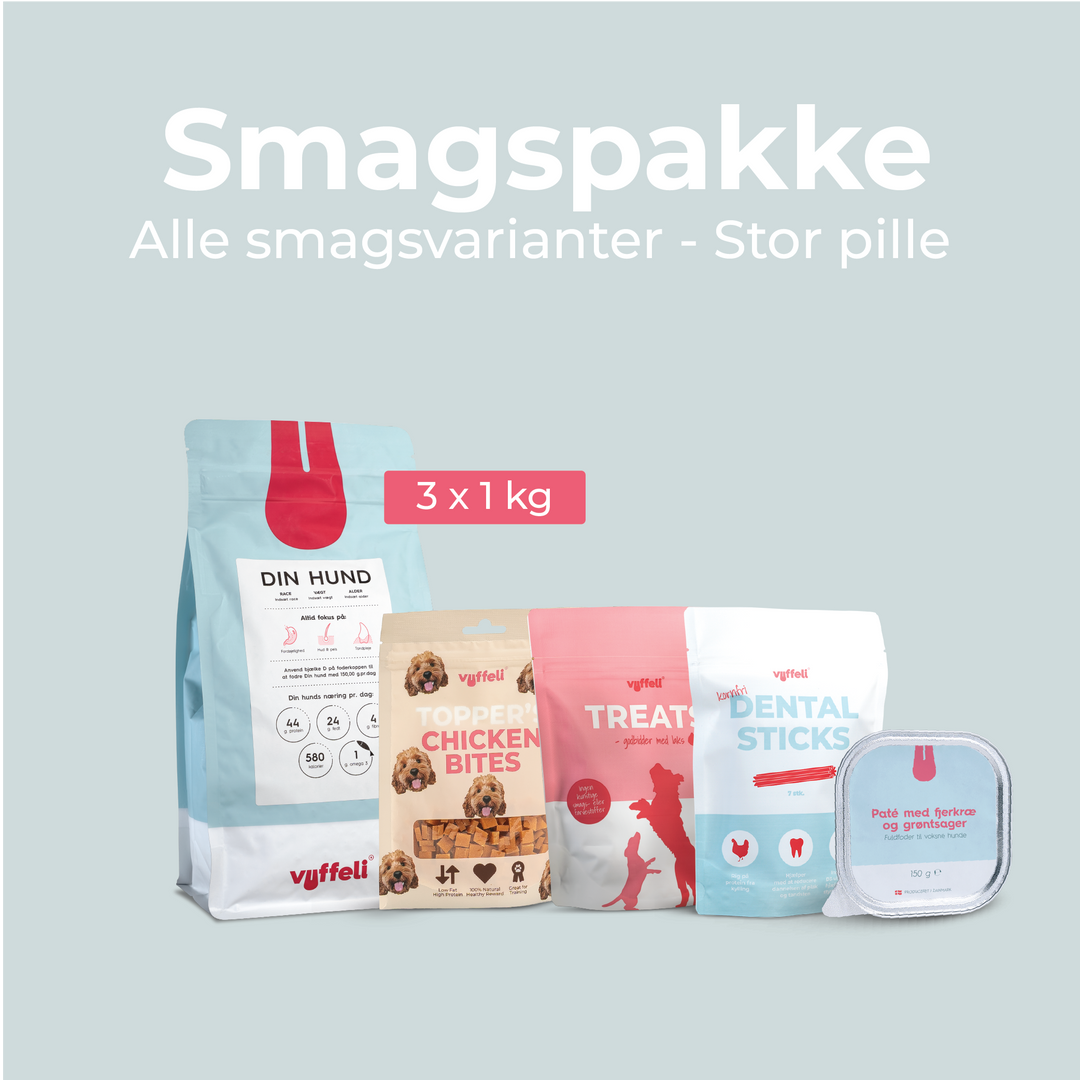 Smagspakke -  Alle smagsvarianter (Stor pille)